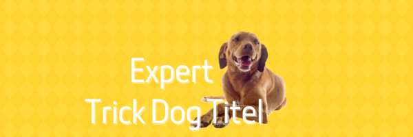 Trick Dog Talent Expert