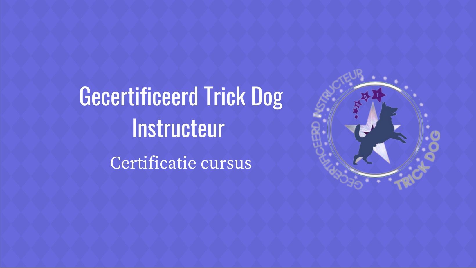 Gecertificeerd Trick Dog Talent Instructeur